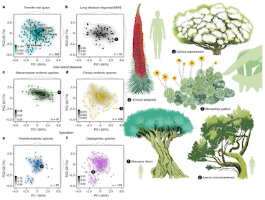 Plant field research